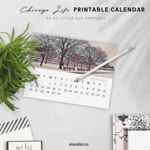 2025 Printable Chicago Illustrated Calendar