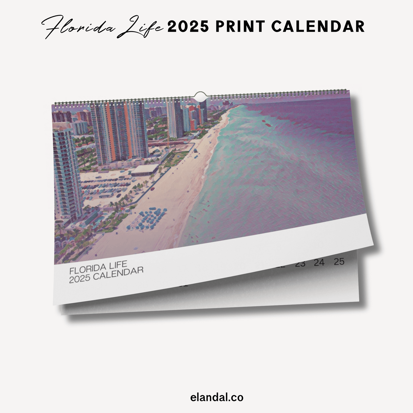 2025 Print Florida Illustrated Wall Calendar