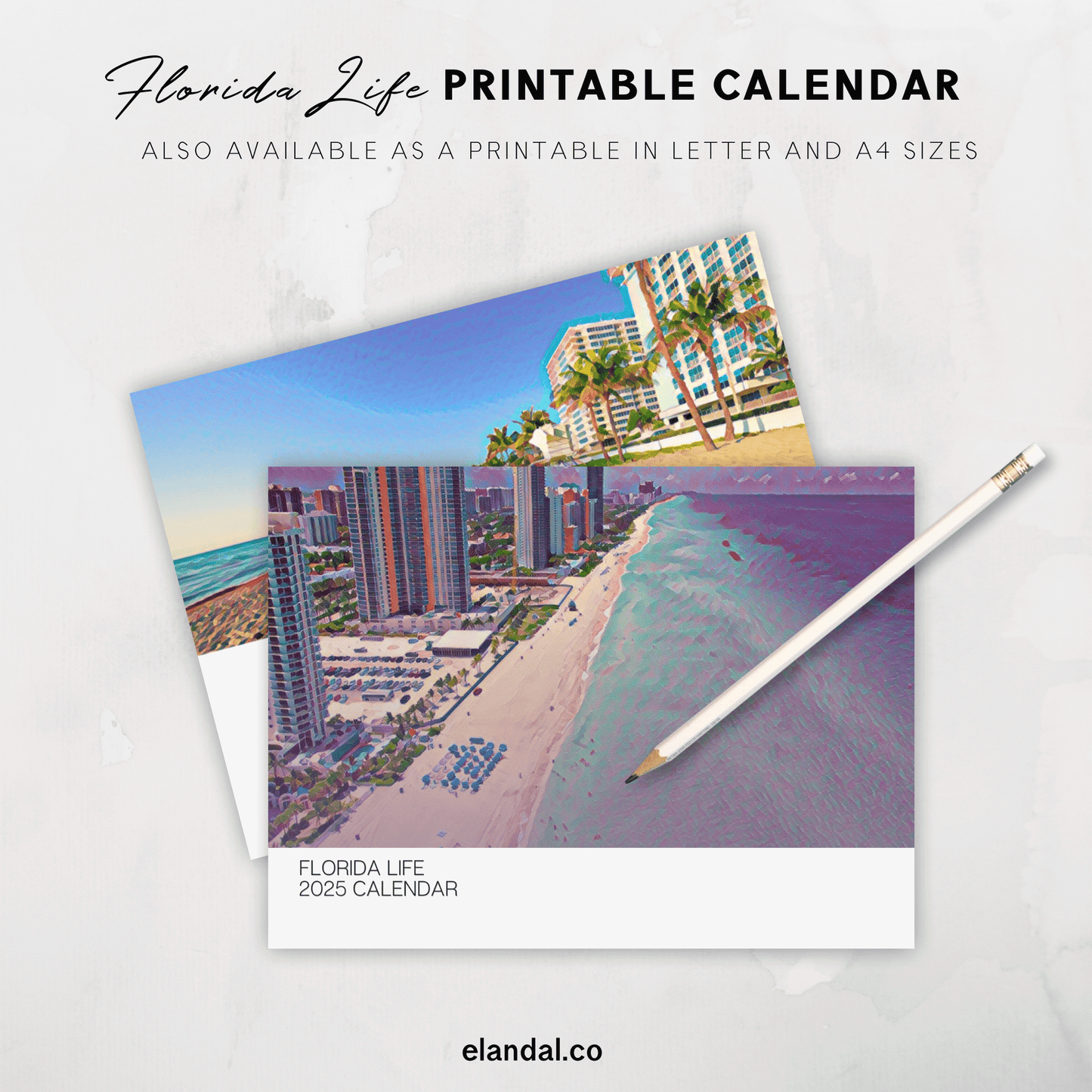 2025 Print Florida Illustrated Wall Calendar