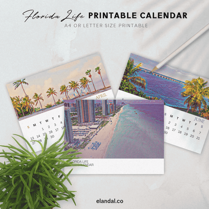 2025 Printable Florida Illustrated Calendar