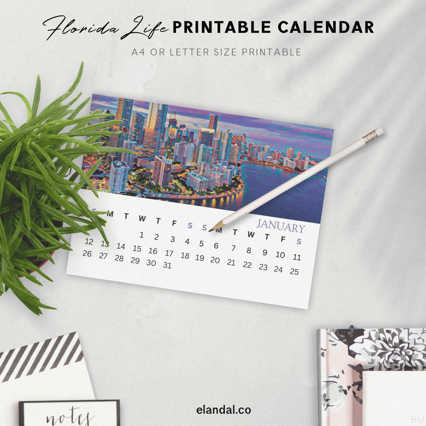 2025 Printable Florida Illustrated Calendar