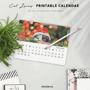 2025 Printable Cat Lovers Calendar