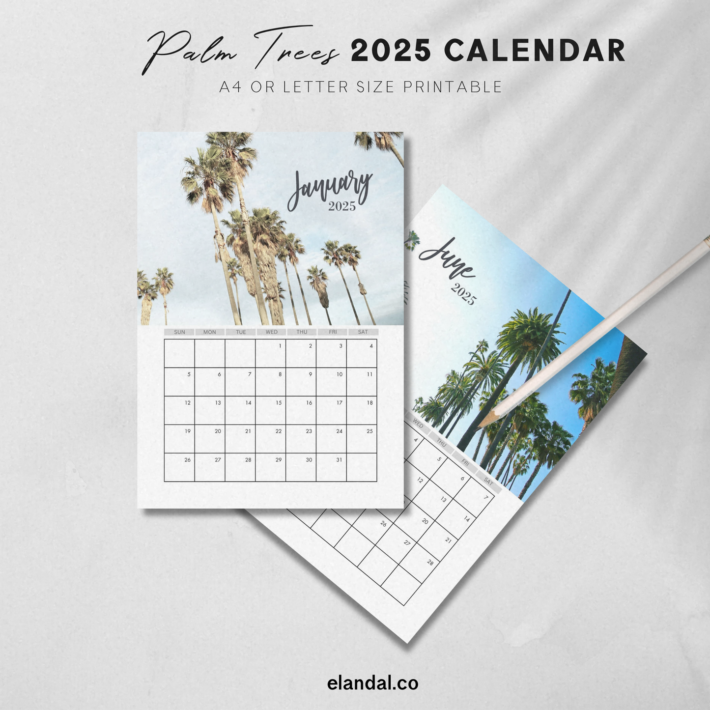 2025 Printable Palm Tree Vertical Calendar